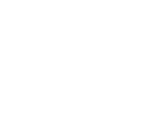 A1 Development Solutions logo