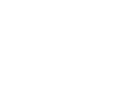 Downtown Brookings Logo