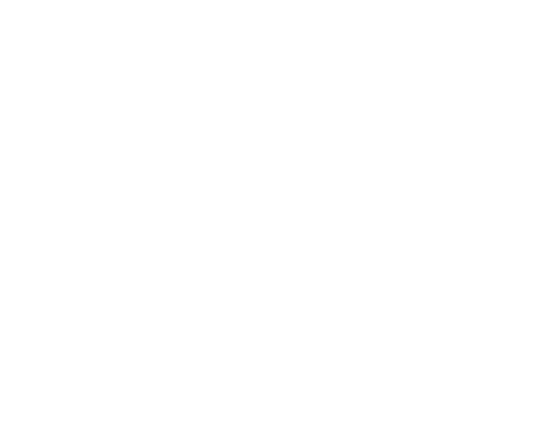 The Action Foundation Logo