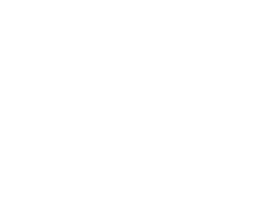 Pinpoint Logo