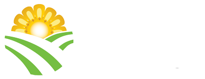 Sunny flower logo with green fields