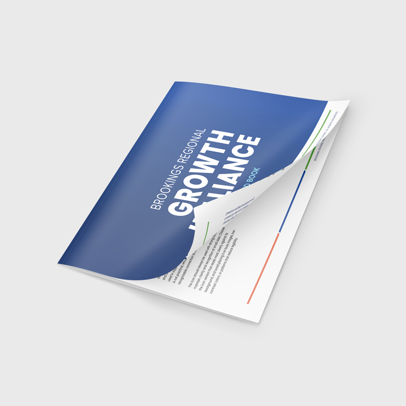 brand book web