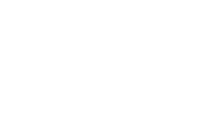 mcnabb grain company white web 300x191